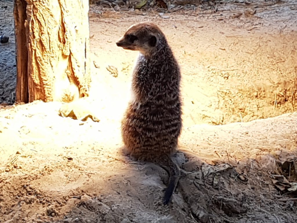 Zoo Rostock mit Darwineum